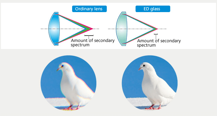 ed-vs.bak-4-glass