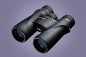 Budget Binoculars