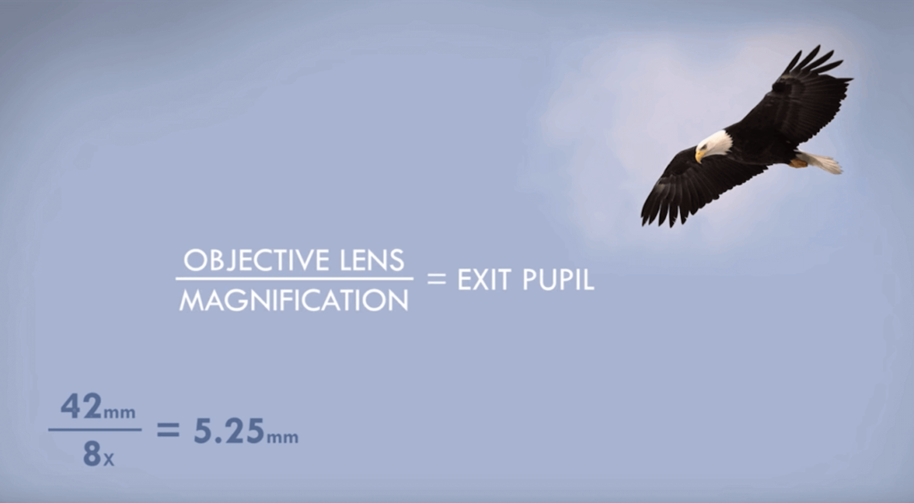 Understanding Binoculars Field of View BINOCULARS GUIDES