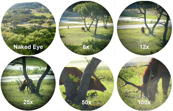 magnification comparison picture