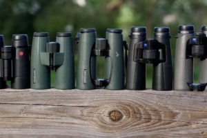 8 Things You Must Know Before Choosing Binoculars