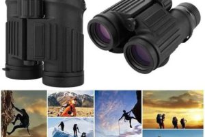 What’s the Best Magnification for Binoculars?