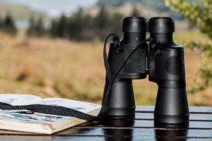 What are the Best Binoculars You Can Buy? 7 Tips for a Successful Buy