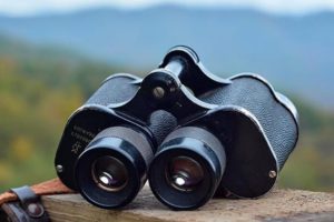 What Affects Image Stability in Binoculars