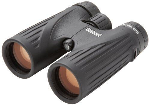 Bushnell Legend Ultra HD Roof Prism Binocular, 10x42
