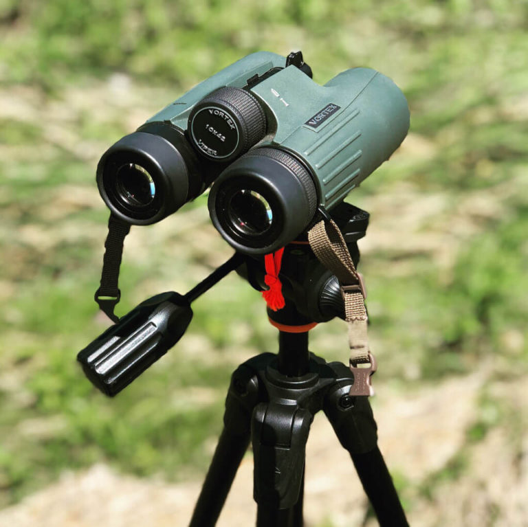 Vortex Viper HD 10x42 Binoculars Review BINOCULARS GUIDES