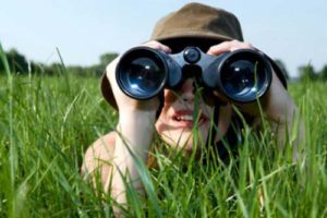 Best Binoculars for Bird Watchers