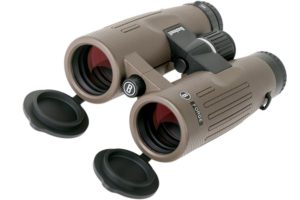 Bushnell Binoculars Review – American Quality at a Reasonable Price