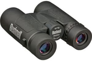 Are Bushnell Binoculars Worth the Money?