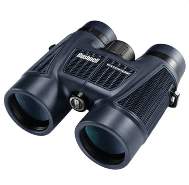 bushnell-cheap-class-binoculars