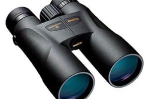 Are Nikon Binoculars Worth the Money?
