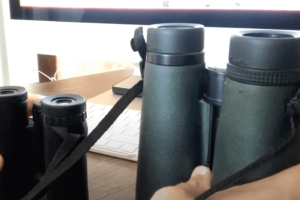 Compact vs Full Size Binoculars: Definitive Guide