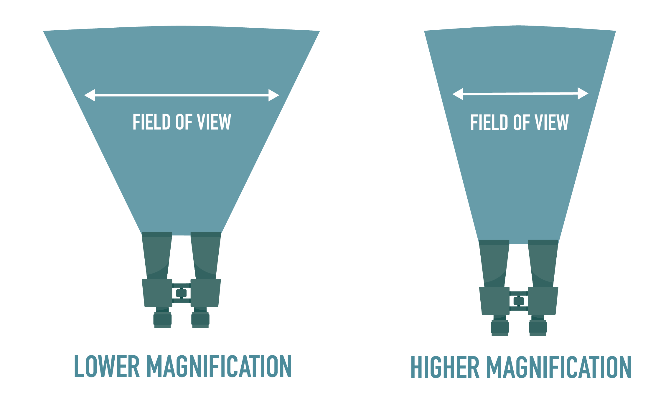 field-of-view